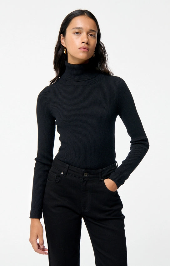 Fontenille turtle, Black