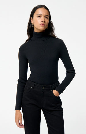 Fontenille turtle, Black