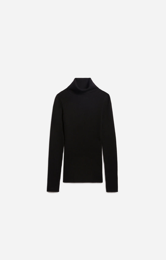 Fontenille turtle, Black