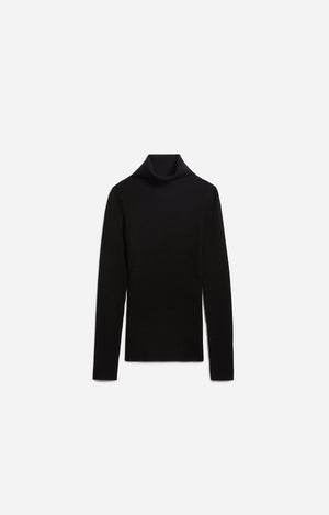 Fontenille turtle, Black