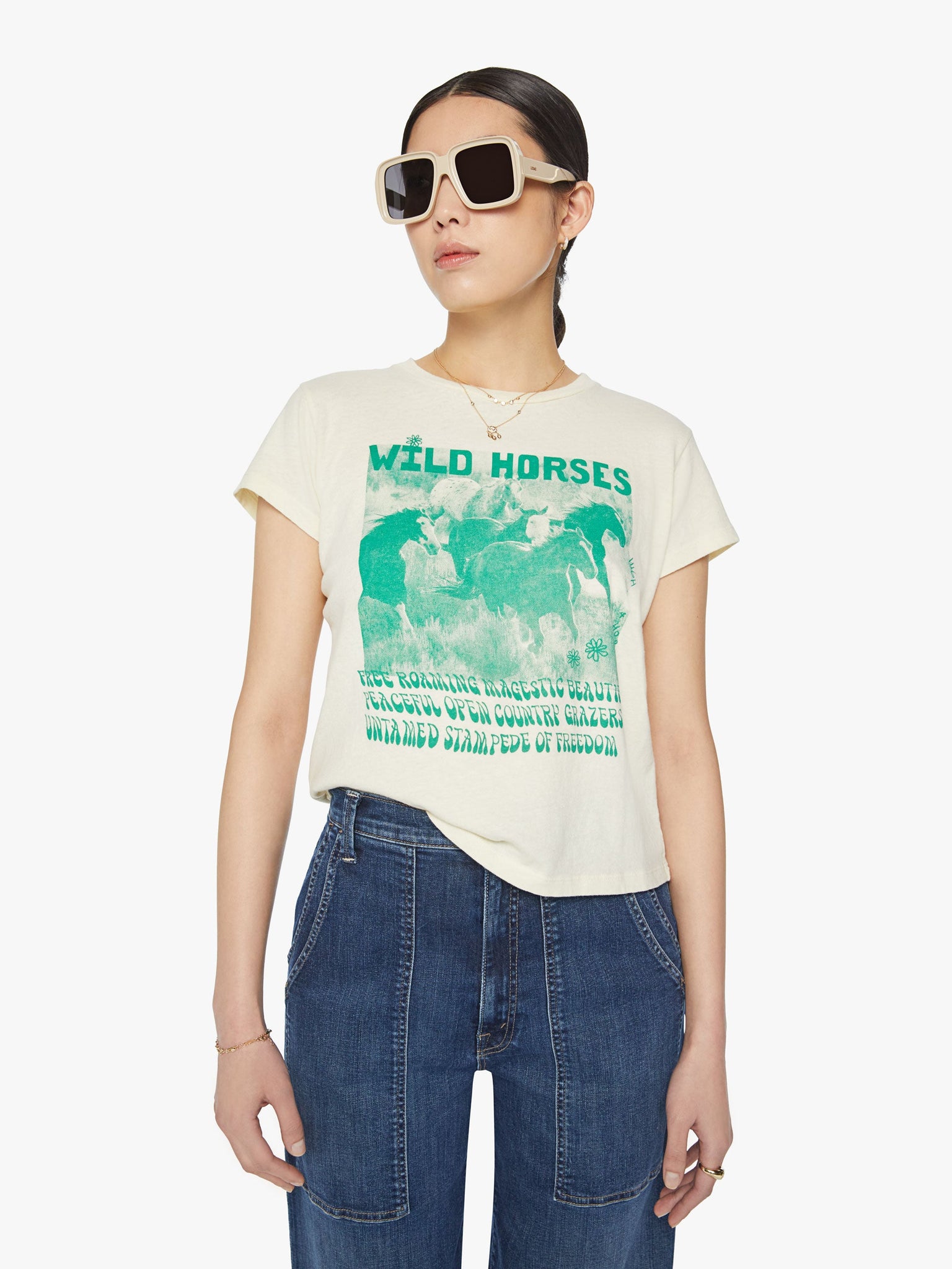 Boxy goodie, wild horses