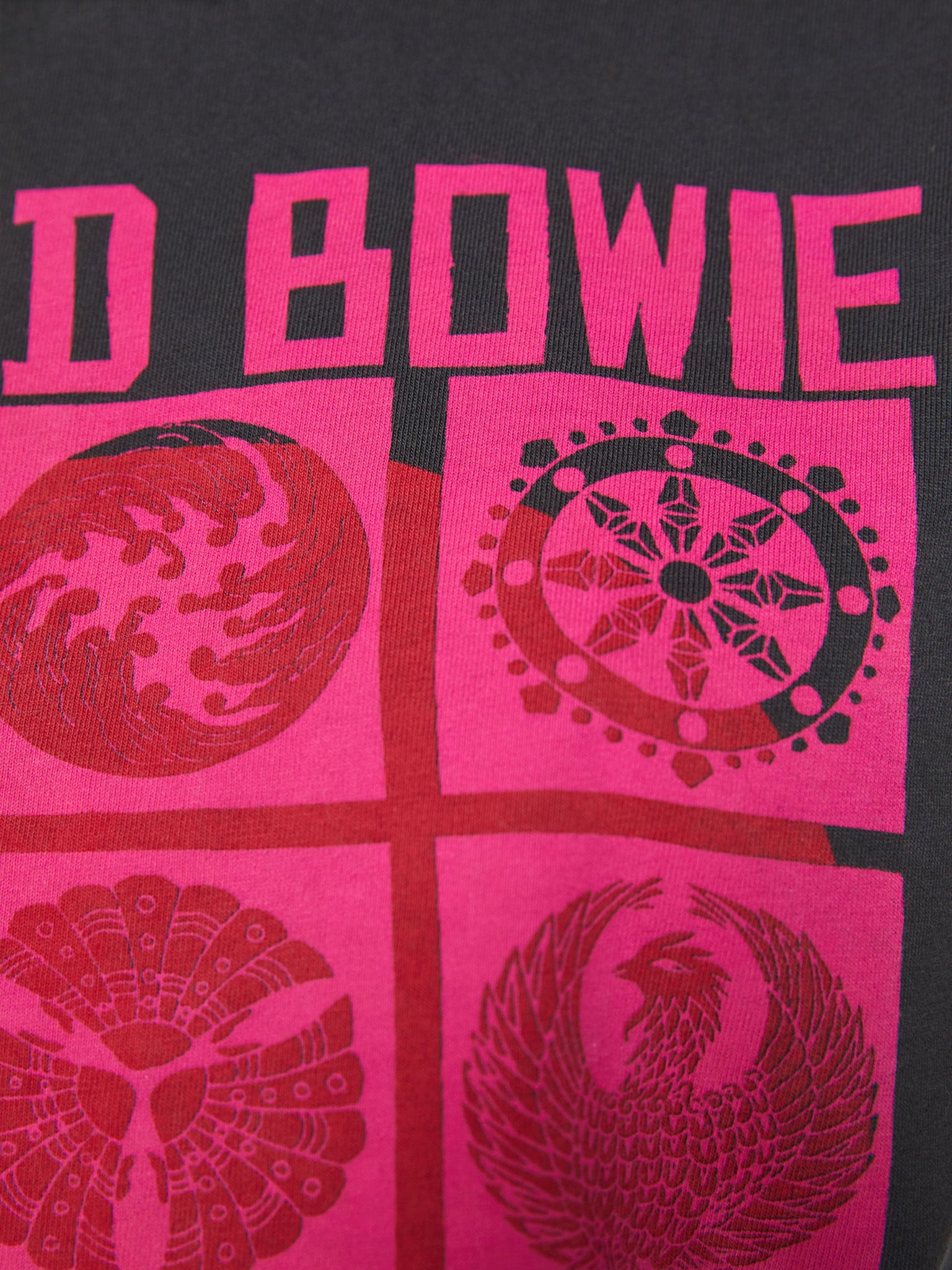 Cropped Itty Bitty Goodie, Bowie Live in Japan