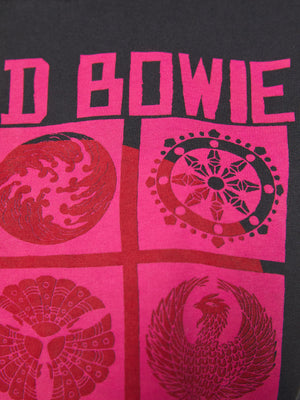 Cropped Itty Bitty Goodie, Bowie Live in Japan
