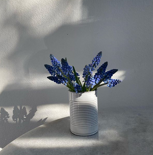 Mini Conserve Vase VSECNS1