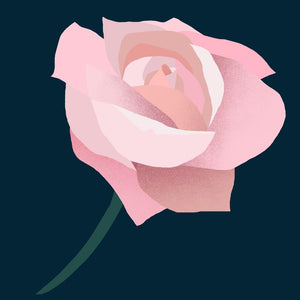Rose absolute (20% in jojoba oil)