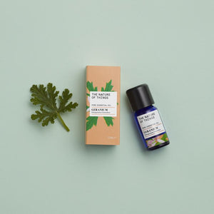 Geranium essential oil